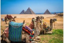 صورة «أم الدنيا»..«صحيفة أمريكية» تشجع على عودة السياحة بمصر في زمن الكورونا