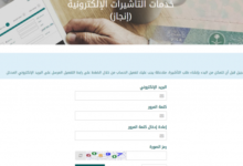 صورة للمصريين.. الاستعلام عن صدور تأشيرة من القنصلية السعودية برقم الجواز