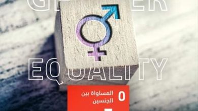صورة وزيرة التخطيط: المساواة بين الجنسين لن تتحقق دون كفالة حقوق اقتصادية متساوية
