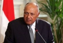صورة إجراءات مهمة وتحرك دولي.. 6 رسائل جديدة من وزير الخارجية بشأن سد النهضة