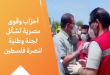 صورة أحزاب وقوى مصرية تشكّل لجنة وطنية لنصرة فلسطين