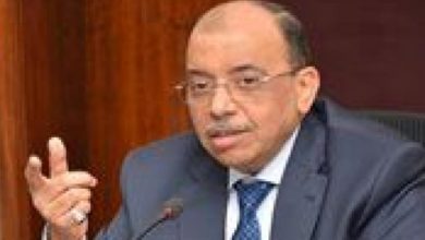صورة العاملون بالتنمية المحلية يشاركون في الخطة التدريبية الجديدة للعاملين بالمحليات