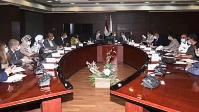 صورة «نافذة واحدة» لإنهاء جميع تراخيص سياحة اليخوت في مصر