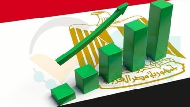 صورة توقعات بـ زيادة مستويات التوظيف وتوسع سوق العمل في مصر