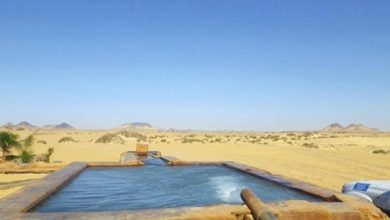 صورة مراكز للاستشفاء ومصادر للسياحة.. مالا تعرفه عن الآبار والعيون في الوادي الجديد