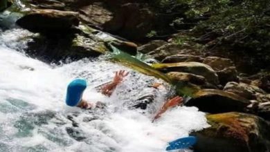 صورة الحياة البرية تجذب عشاق المغامرة لزيارة تنزانيا