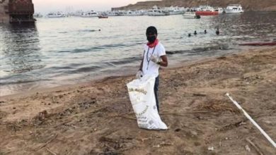 صورة غرفة السياحة والغوص تطلق حملة لتنظيف الشواطئ بجنوب سيناء