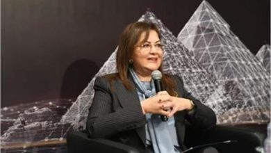 صورة السعيد: نسعى لتحقيق رؤية تنموية تضمن إمتلاك مصر منظومة للتخطيط الشامل