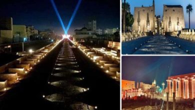 صورة السياحة: وسائل الإعلام العالمية لديها اهتمام كبير باحتفال طريق الكباش