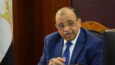 صورة صندوق البنك الدولي يشيد بـ«حياة كريمة»: تحقق التنمية المستدامة 2030