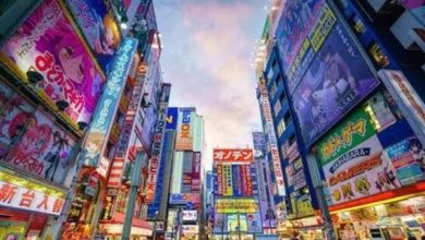 صورة اليابان تدرس استئناف برنامج دعم السياحة المحلية فبراير المقبل