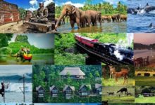 صورة السياحة في سريلانكا.. أهم الوجهات السياحية وتكلفة السفر إليها