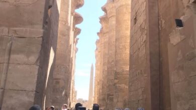 صورة أفواج سياحية مميزة تدعم حركة السياحة بالموسم الشتوى فى الأقصر