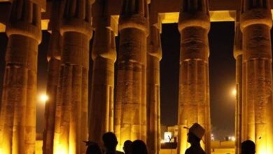 صورة «إلهام الطبيعة».. حملة دولية للترويج للسياحة المستدامة في مصر (فيديو)