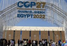 صورة خبير يرصد أبرز مكاسب مصر الاقتصادية من مؤتمر قمة المناخ بشرم الشيخ