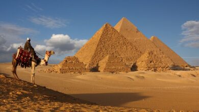 صورة وليد البطوطي: مؤتمر المناخ ساهم فى تنشيط السياحة بمصر