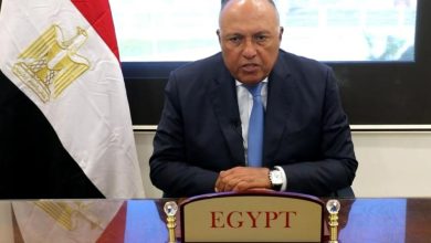 صورة شكري يُؤكد ترحيب مصر الدائم بالحوار مع مفوض الاتحاد الإفريقي حول موضوعات السلم والأمن في القارة الإفريقية