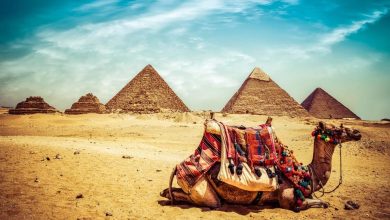 صورة مصر تبدأ العمل بتأشيرة جديدة للأجانب متعددة الدخول وصالحة لـ 5 سنوات