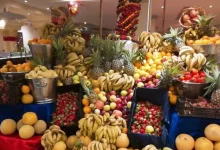 صورة مهرجانات الفاكهة تنعش إشغالات الفنادق بالغردقة