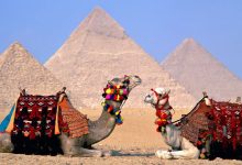 صورة أدوات استخدمتها هيئة تنشيط السياحة في الترويج لمصر