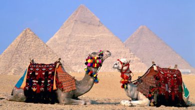 صورة أدوات استخدمتها هيئة تنشيط السياحة في الترويج لمصر