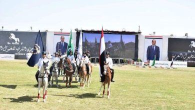 صورة سياحة المهرجانات.. استعدادات مهرجان الخيول العربية الـ27 بالشرقية