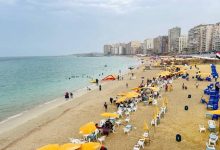 صورة مصايف الإسكندرية ترفع الرايات الخضراء بشواطئ القطاع الشرقي وهدوء الأمواج