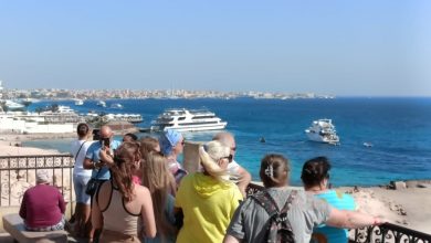 صورة «بانورما البحر» تجذب السياح لمشاهدة سحر وجمال الغردقة