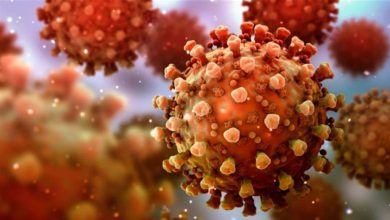 صورة كشفت منظمة الصحة العالمية، اليوم الأربعاء، مدى خطورة متحور فيروس كورونا الجديد المعروف علميا باسم “BA.2.86”
