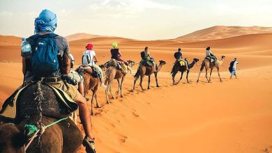 صورة تونس.. أهم تحديات القطاع السياحي حول السياحة الصحراوية