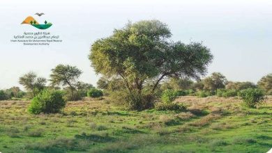 صورة هيئة تطوير محمية الإمام عبدالعزيز تتأهب لإطلاق موسم السياحة البيئية
