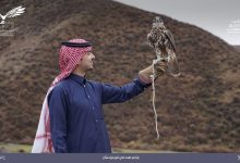 صورة نادي الصقور السعودي يطلق عددًا من الصقور في جبال قيرغيزيا