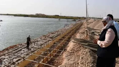صورة نائبة محافظ أسوان تتابع الممشى السياحي في مدينة أبو سمبل السياحية
