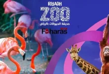 صورة موسم الرياض 2023 يفتتح حديقة الحيوانات “رياض زوو”