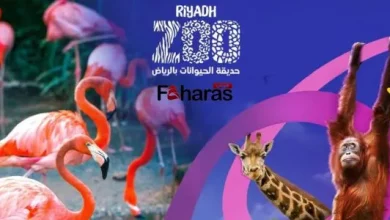 صورة موسم الرياض 2023 يفتتح حديقة الحيوانات “رياض زوو”