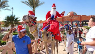 صورة زيادة ملحوظة في أعداد رحلات الطيران المتجهة إلى مرسى علم