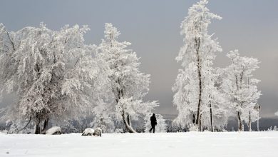 صورة تساقط الثلوج يشل الحركة بمنطقة بافاريا بألمانيا وتعطل الطيران والقطارات