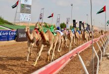 صورة دائرة السياحة والآثار تطلق قرية “أم القيوين التراثية”