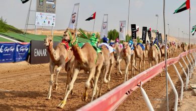 صورة دائرة السياحة والآثار تطلق قرية “أم القيوين التراثية”