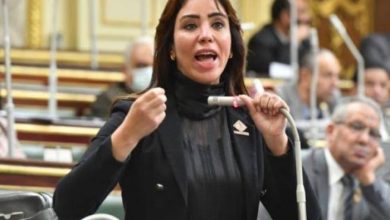 صورة النواب يسأل عيسى عن قصور دور قطاع السياحة في سد الفجوة الدولارية