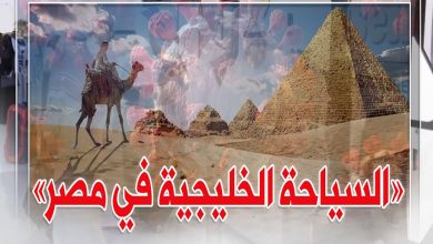 صورة وزارة السياحة المصرية تعد برامج سياحية خاصة للسياح الخليجين في 2024