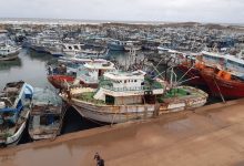 صورة استمرار إغلاق ميناء الصيد بالبرلس وتوقف حركة الملاحة في البحر المتوسط