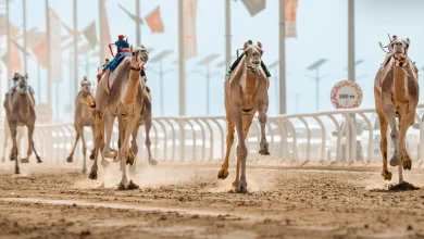 صورة إغلاق باب التسجيل للمشاركة في مهرجان خادم الحرمين للهجن