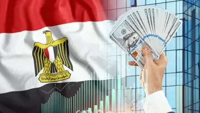 صورة البهواشي ..السياحة وتحويلات المصريين بالخارج والاستثمار الأجنبي المباشر تنعش الاقتصاد في مصر