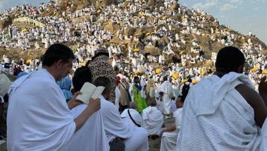 صورة بعثة الحج السياحي تعيد 100 حاج مفقود في المدينة المنورة