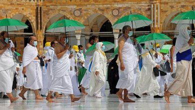 صورة رئيس لجنة سياحة النواب : الجهات المنظمة للحج نجحت ولم نتلقى سوى شكوتين