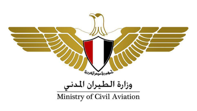 صورة مصر تعلن انتظام رحلات الطيران الدولية بنسبة 97%