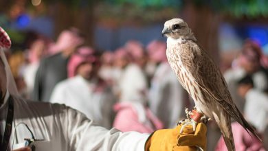 صورة ختام معرض الصقور والصيد السعودي الدولي بحضور يتجاوز 640 ألف زائر