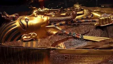 صورة مجلس الوزراء يكشف حقيقة إقامة معرض مؤقت لمقتنيات الملك الذهبي توت عنخ آمون
