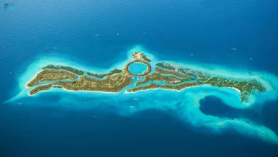 صورة شركة البحر الأحمر الدولية تدعو لنموذج سياحي متجدد واقتصاد أزرق مستدام